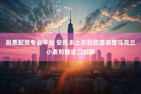 股票配资专业平台 安抚本土农民　欧盟调整乌克兰小麦和糖进口配额