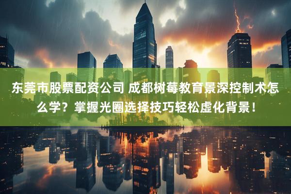 东莞市股票配资公司 成都树莓教育景深控制术怎么学？掌握光圈选择技巧轻松虚化背景！